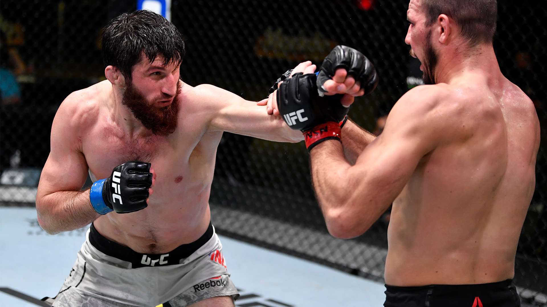 的技术特点 的技术特点