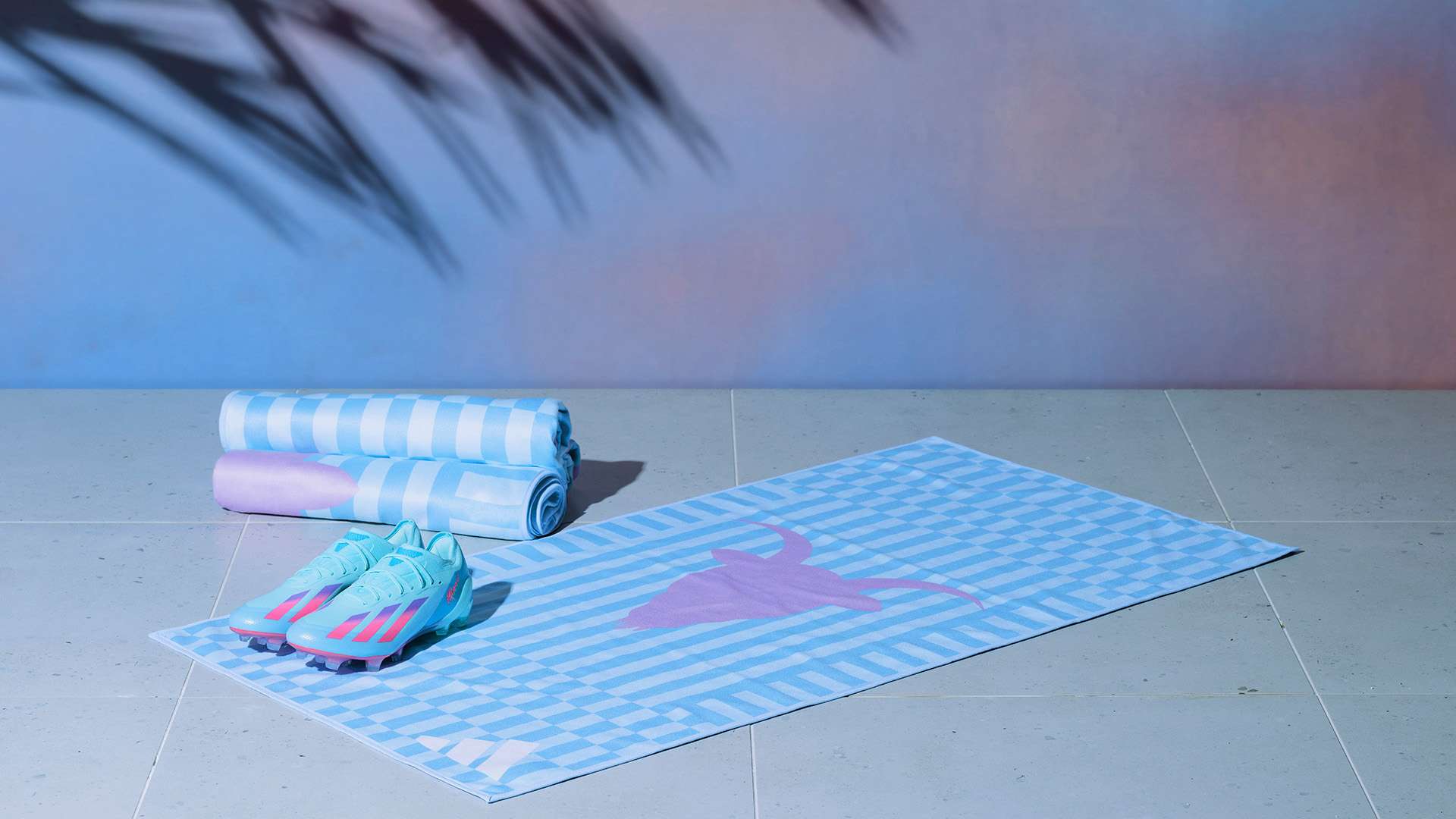 传球被球迷 传球被球迷