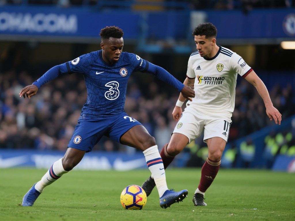 球员们在场 球员们在场